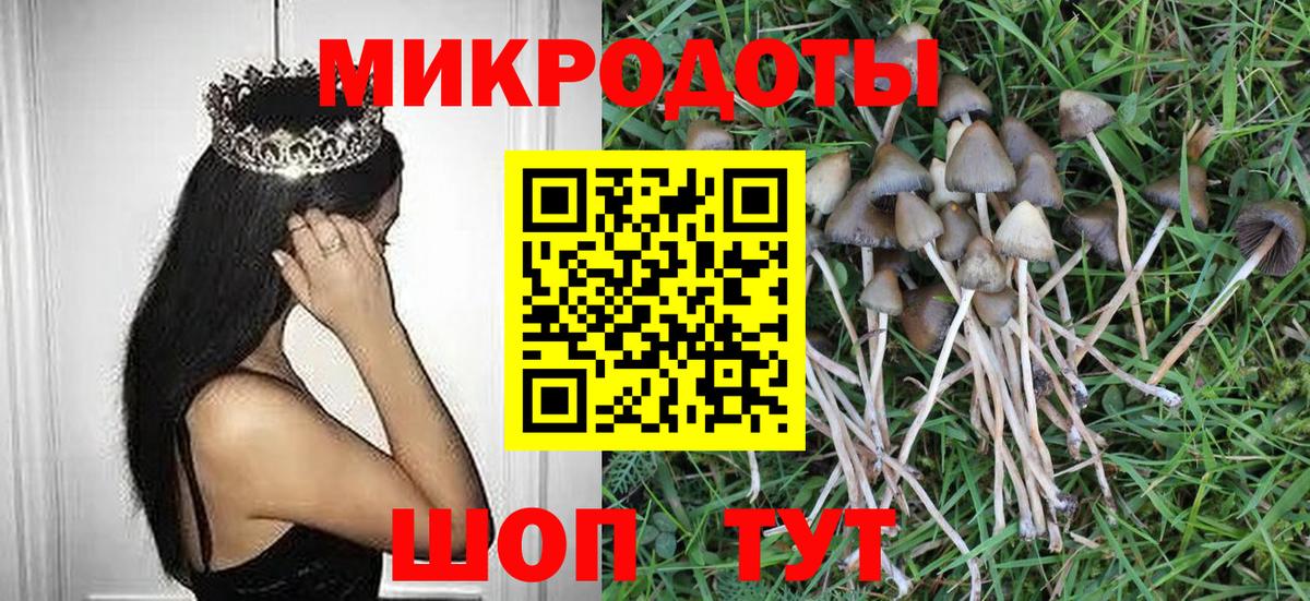 Псилоцибиновые грибы Psilocybine cubensis  Вход с VPN  Галлюциногенные грибы MAGIC MUSHROOMS  Камень-на-Оби 